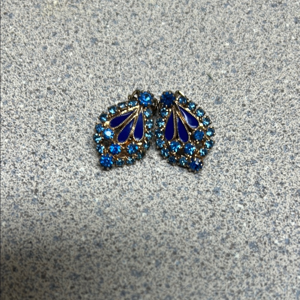 Elegant Blue and Silver Earrings